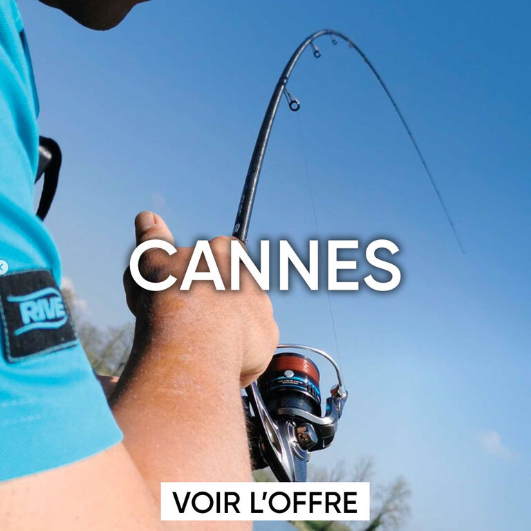 cannes feeder